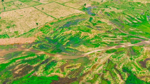 Agricultural development activities