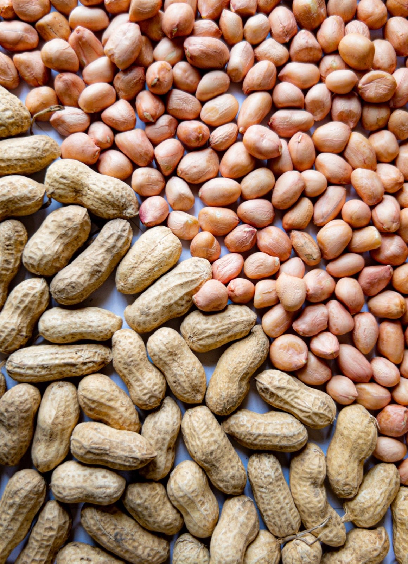 Groundnuts