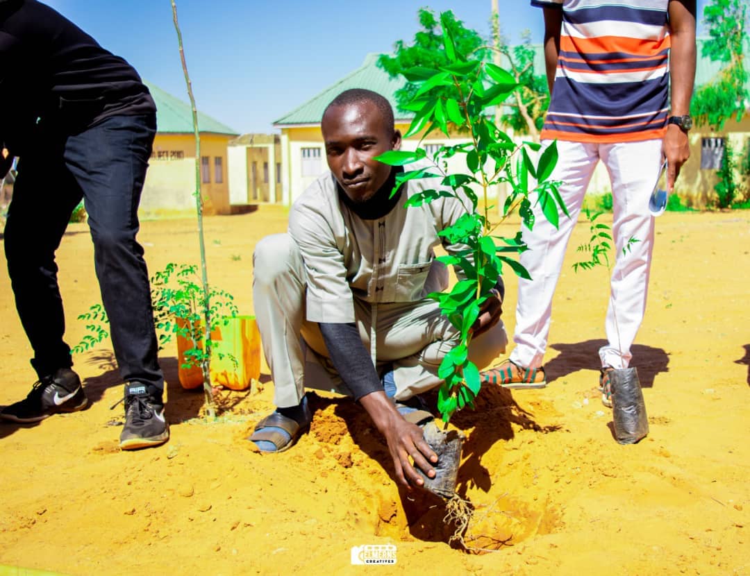 Tree Planting
