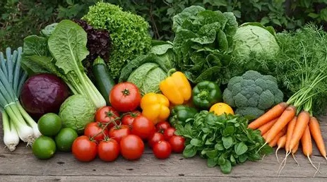 Organic Vegetables